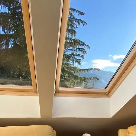 Pensiunea Crocus - Sauna & Billiard 4* Poiana Brašov