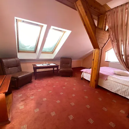 Penzion Pensiunea Crocus - Sauna & Billiard