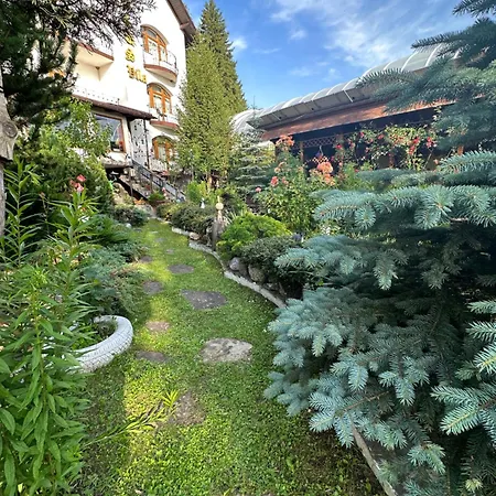 Penzion Pensiunea Crocus - Sauna & Billiard