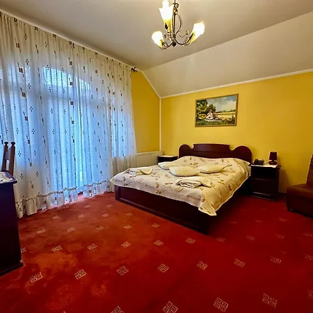Pensiunea Crocus - Sauna & Billiard Penzion