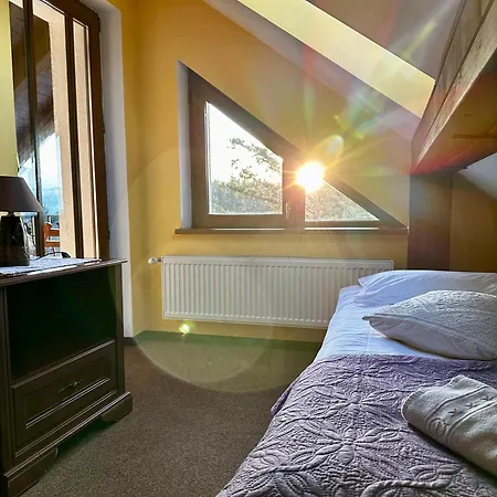 Pensiunea Crocus - Sauna & Billiard 4*