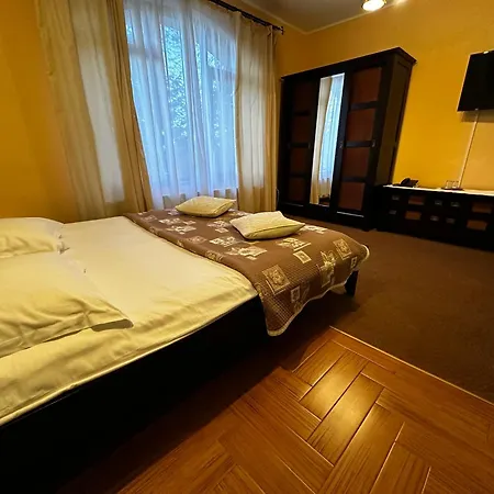 Pensiunea Crocus - Sauna & Billiard 4*