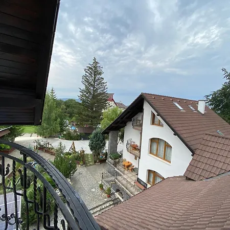 Pensiunea Crocus - Sauna & Billiard Penzion