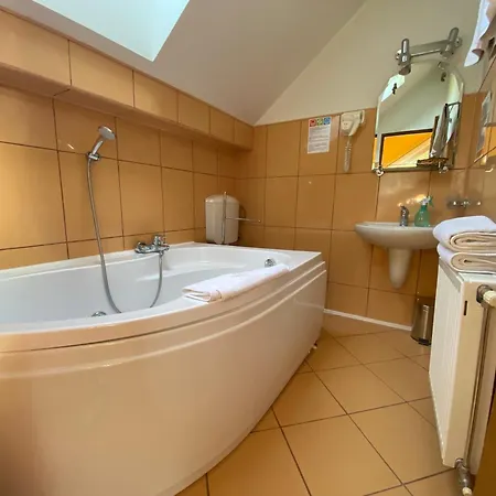 Pensiunea Crocus - Sauna & Billiard 4* Poiana Brašov