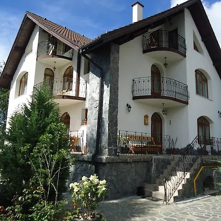 Pensiunea Crocus - Sauna & Billiard Penzion 4*