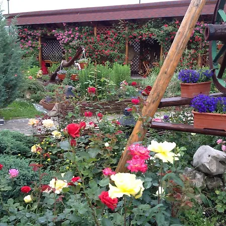 Penzion Pensiunea Crocus - Sauna & Billiard