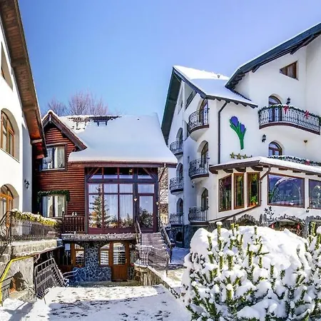 Penzion Pensiunea Crocus - Sauna & Billiard Poiana Brašov